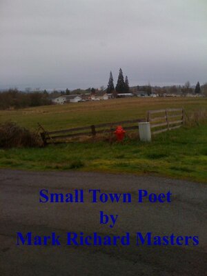 cover image of Small Town Poet